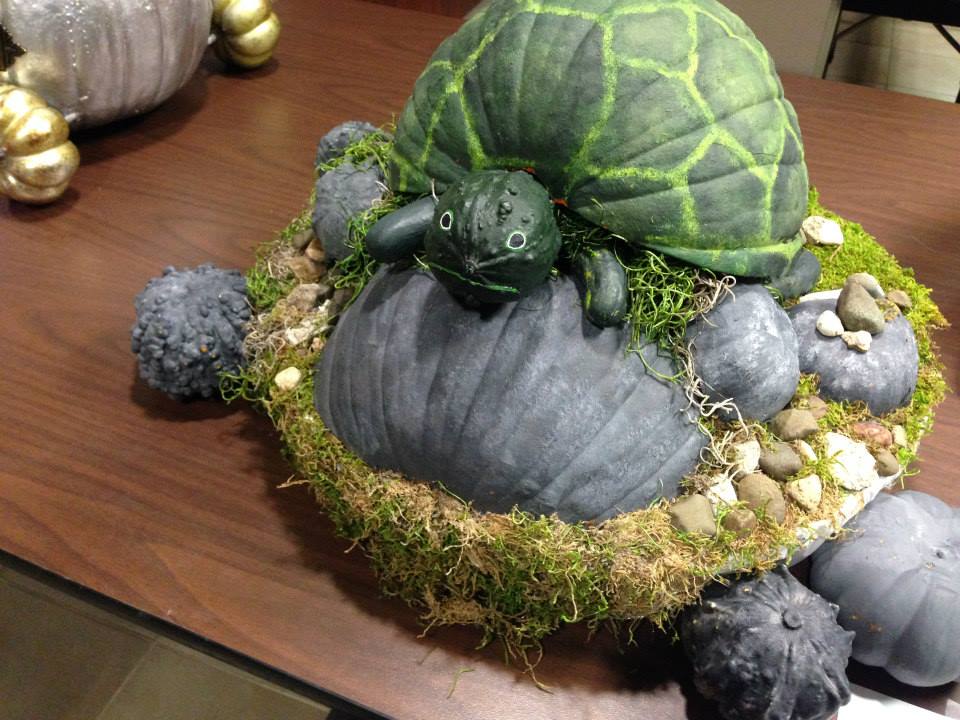 Turtle Pumpkin